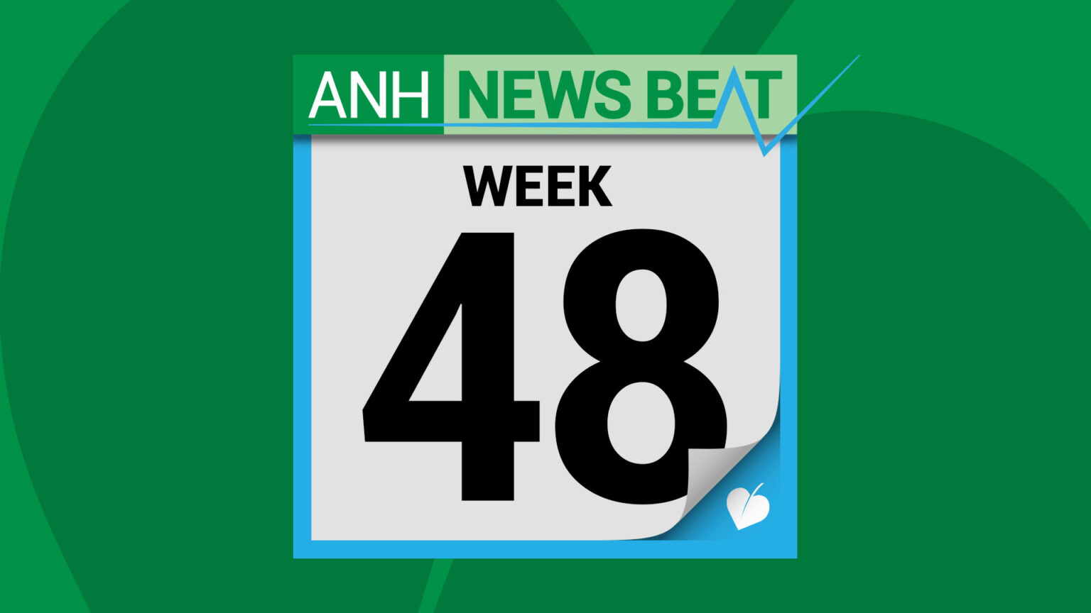 ANH News Beat (week 48/2025) 696ea64e47230.jpeg