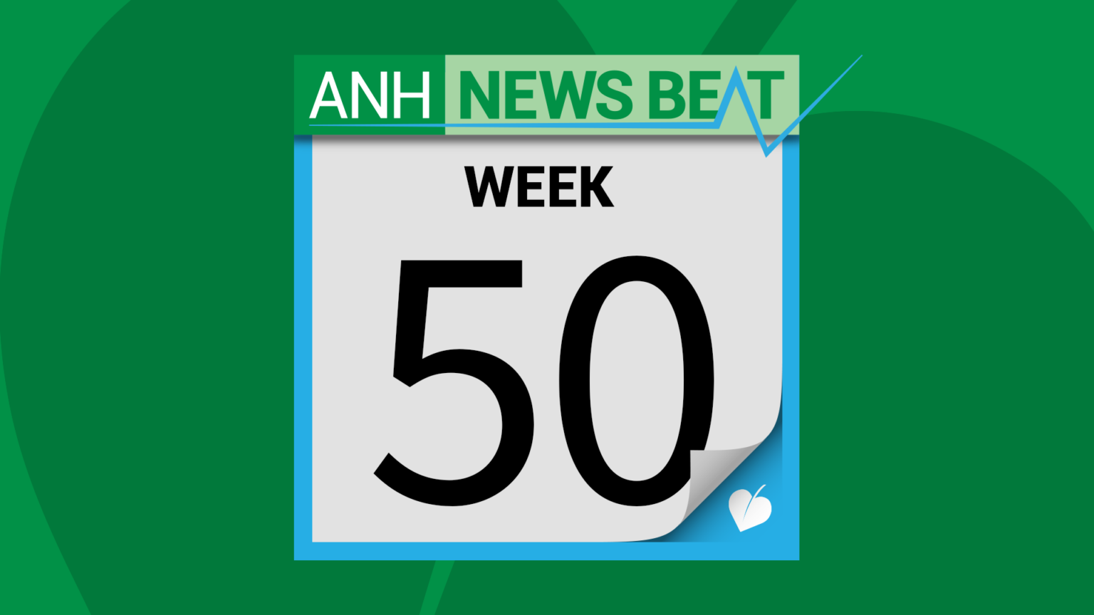 ANH News Beat (week 50/2025) 696ea60c258cd.png