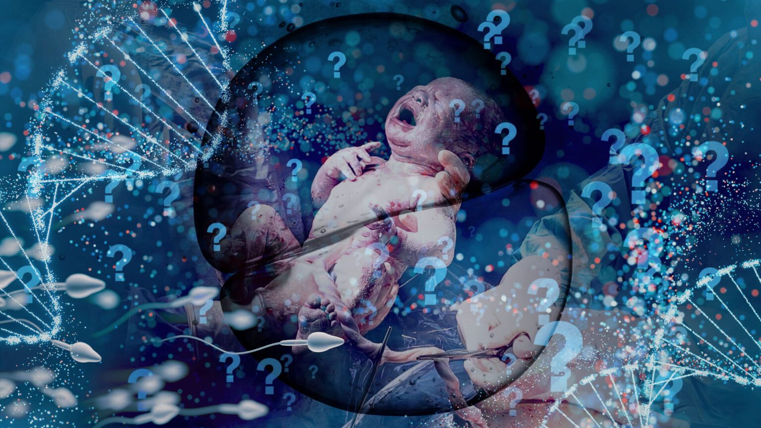 FEATURE: What is life? Energy, information, fields—and purpose without mysticism 696ea6f480f92.jpeg