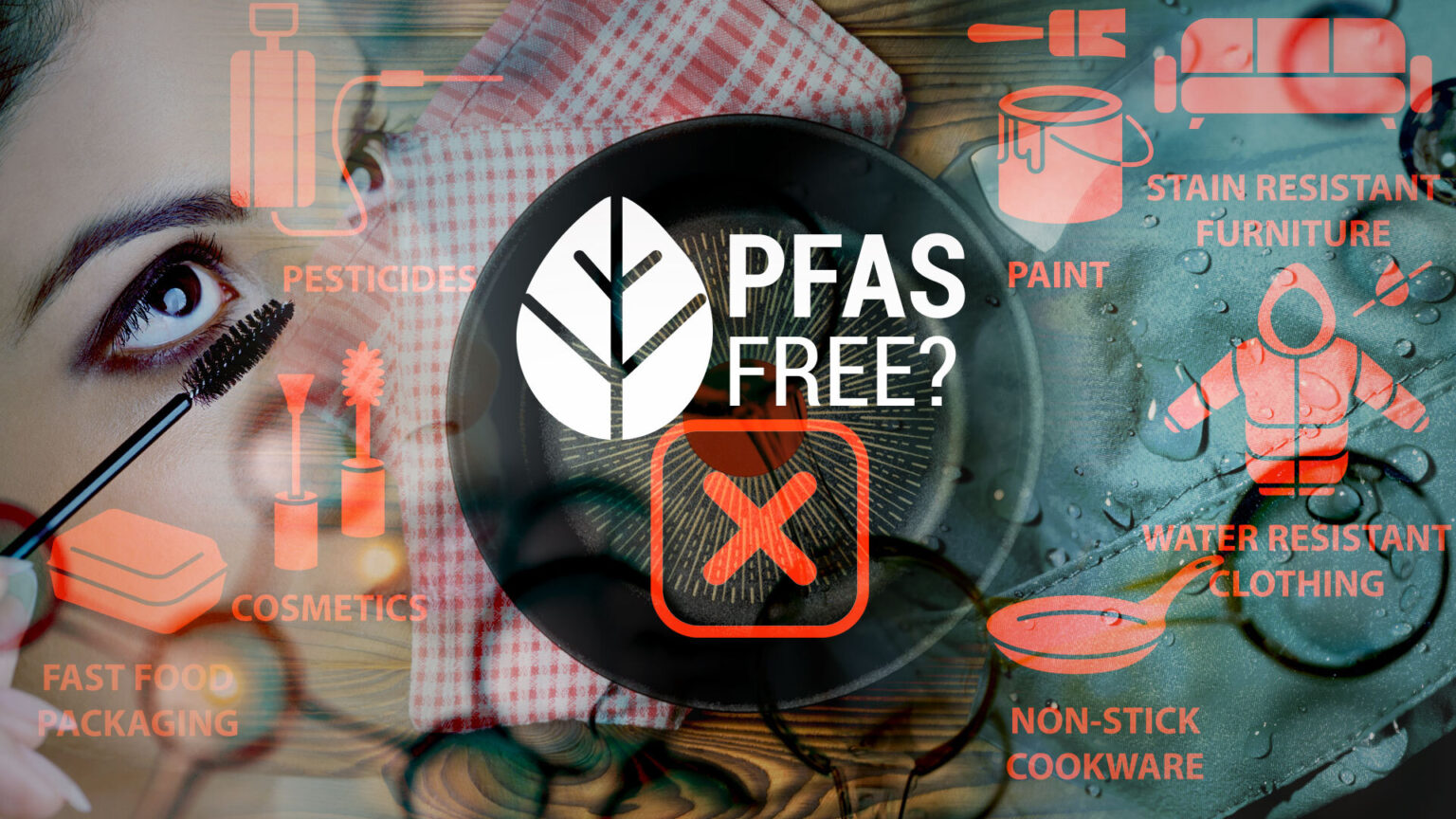 ‘Forever chemicals’—ban don’t manage! 696ea77527f54.jpeg