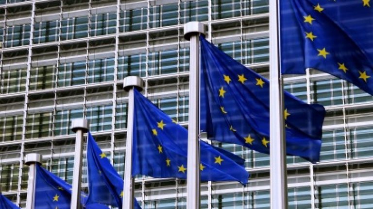 ANH and Irish delegation urge European Commission to rethink its policy on natural health_669bdead8ba45.jpeg