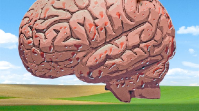 ANH-Intl Feature: Biology student at major UK university exposes biased GM crop education_669bc6212c63f.jpeg