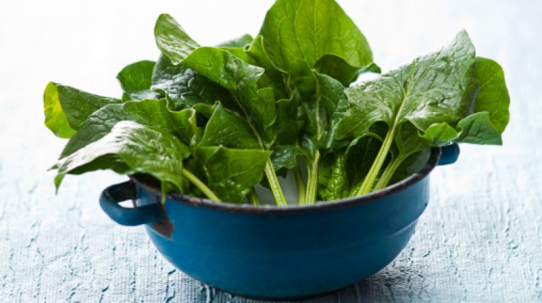 ANH-Intl Feature: Does folic acid protect from – or cause – cancer?_669bc45806cde.jpeg
