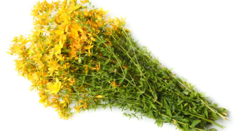 ANH-Intl Feature: UK medicines regulator and trade association collaborate in online herbal bust_669bbfa2aaaa1.jpeg