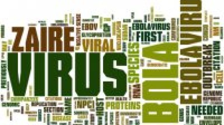 ANH-Intl press release: Global Ebola relief effort not reaching rural communities_669bc0d58c105.jpeg
