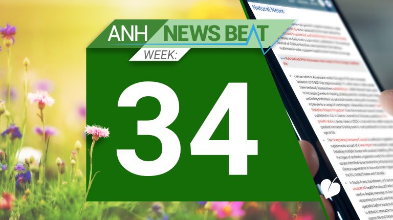 ANH News Beat (week 34/2024)_66ccae90158f2.jpeg
