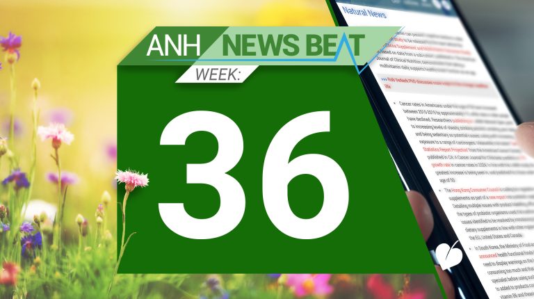 ANH News Beat (week 36/2024)_66df4238a2a0f.jpeg
