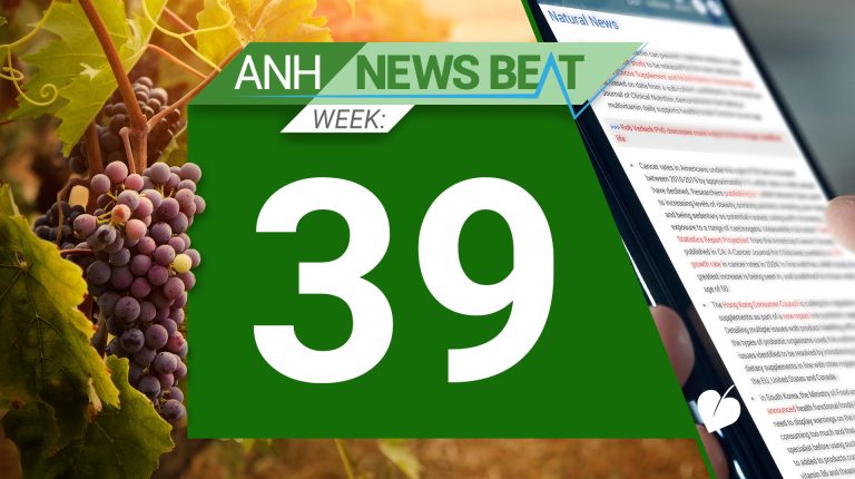 ANH News Beat (week 39/2024)_66face5b85249.jpeg