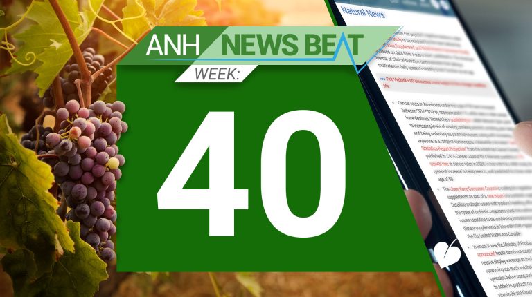 ANH News Beat (week 40/2024)_670445b84dbc8.jpeg