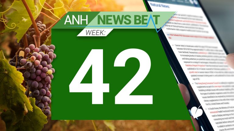 ANH News Beat (week 42/2024)_6717a88e11179.jpeg