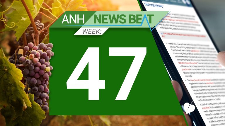 ANH News Beat (week 47/2024)_67459d099a71a.jpeg