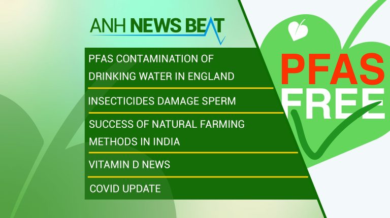 ANH News Beat (week 48/2023)_669a846229c6b.jpeg