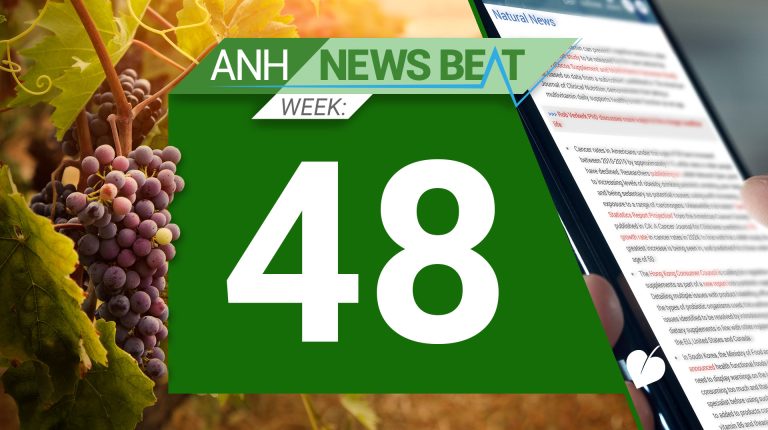 ANH News Beat (week 48/2024)_674e02f32cdf7.jpeg