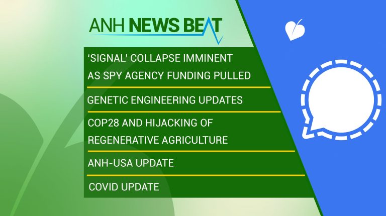 ANH News Beat (week 49/2023)_669a843b282e1.jpeg