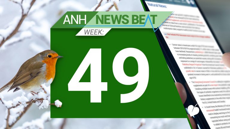 ANH News Beat (week 49/2024)_6758725138436.jpeg