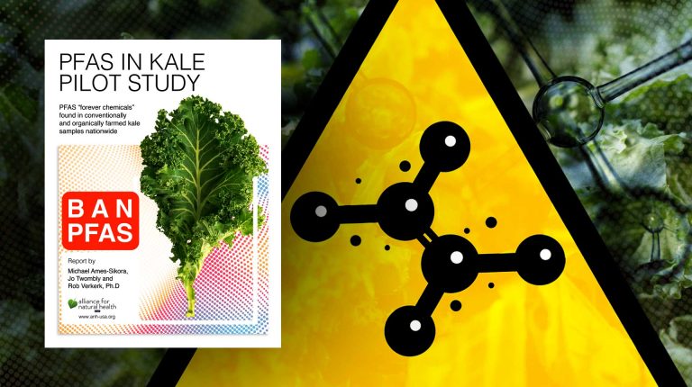 ANH PFAS campaign goes global_669a92faccdb1.jpeg