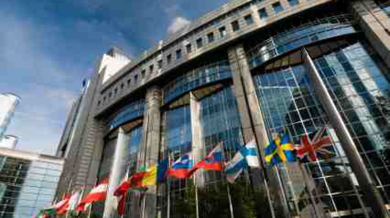 ANH Press Release: Ray of sunlight from ANH/Irish efforts in Brussels_669bdd276958c.jpeg