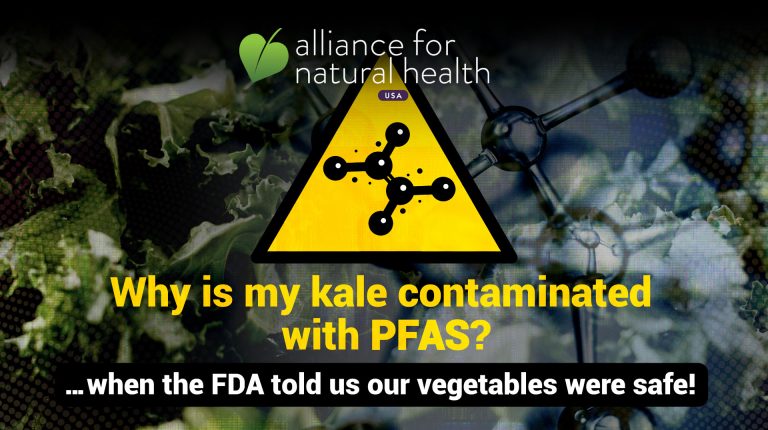 ANH-USA study finds ‘forever chemicals’ in kale_669a931621b9f.jpeg