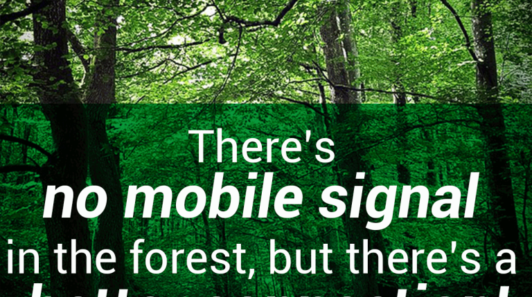 August Tailoring Tolerance 2024: Shinrin Yoku or Forest bathing_66d6e9d833b4d.png