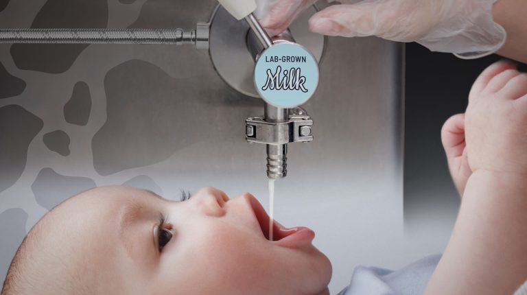 Beyond the Bottle: The rising challenges posed by formula and lab-grown milk to natural breastfeeding_696ea76c77006.jpeg