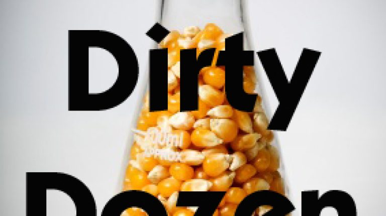 CAMPAIGN FEATURE: UK government GM propaganda counteracted by ANH’s ‘GM Dirty Dozen’_669bc715b970b.jpeg