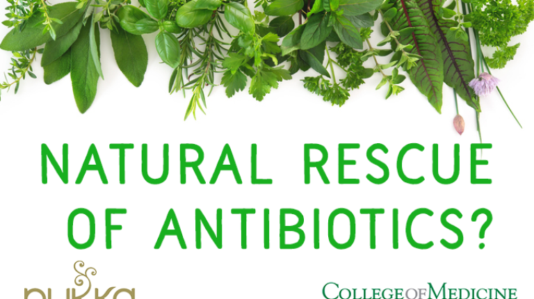 Can natural medicine come to the rescue of antibiotics?_669b92d027409.png