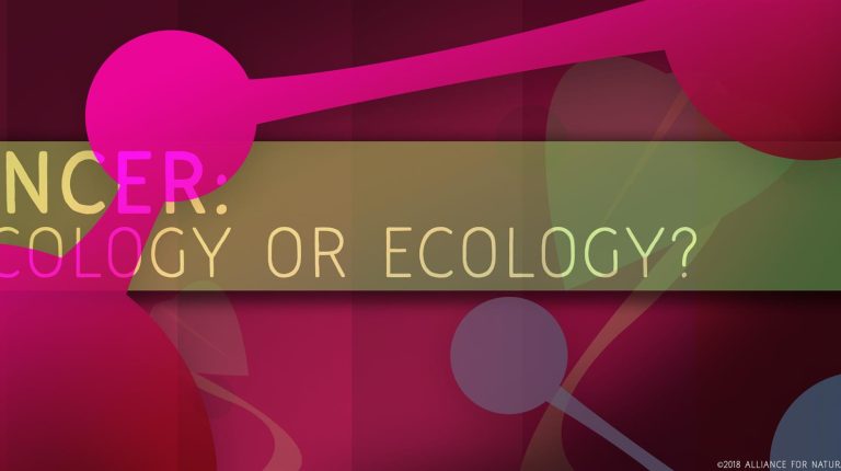 Cancer: Oncology or Ecology?_669bb17231456.jpeg