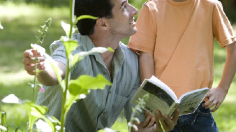 Celebs spark campaign to put nature words back in Oxford kids dictionary_669bc02aa710b.jpeg