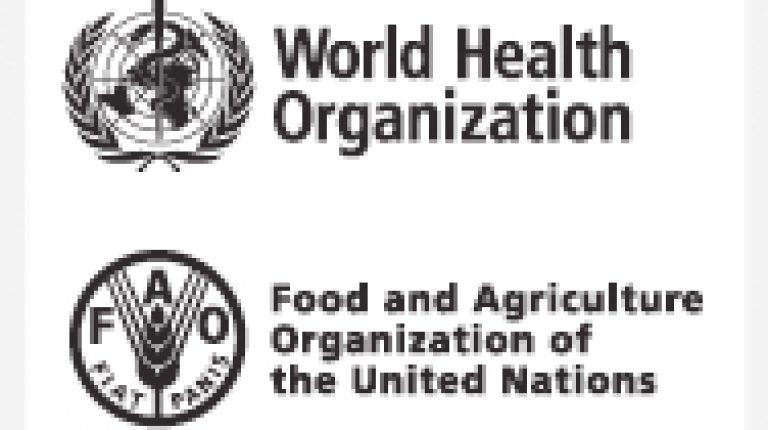 Codex nutrition meeting concludes in South Africa_669bddaf2be0f.jpeg