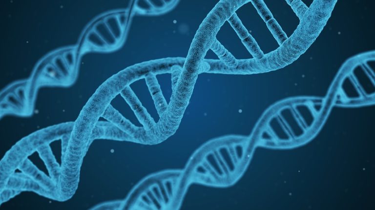 Corporations don’t own your genes – but they can copy them_669bc72d082d6.jpeg