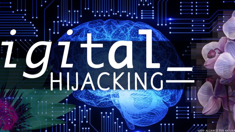 Digital hijack – the hidden agenda of Big Tech and what to do about it_669bae0d5275a.jpeg
