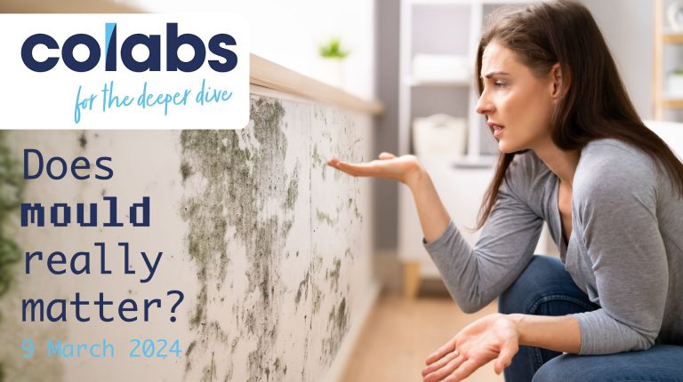 Does mould matter?_669a82568f5d2.jpeg