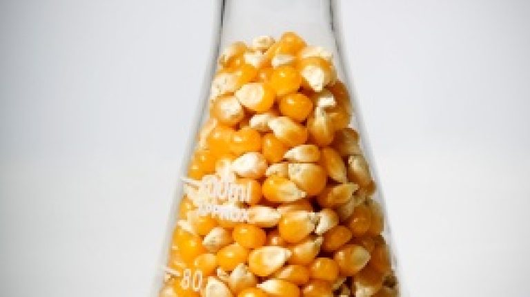 EU leaders conspire against citizens in secret plan to boost GM crop production_669bdde55374c.jpeg