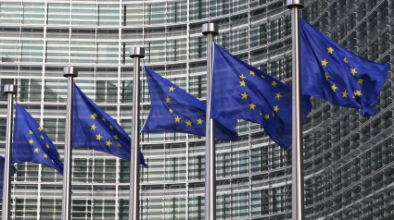 European Parliament questions swine flu vaccine safety_669bda73d33f5.jpeg