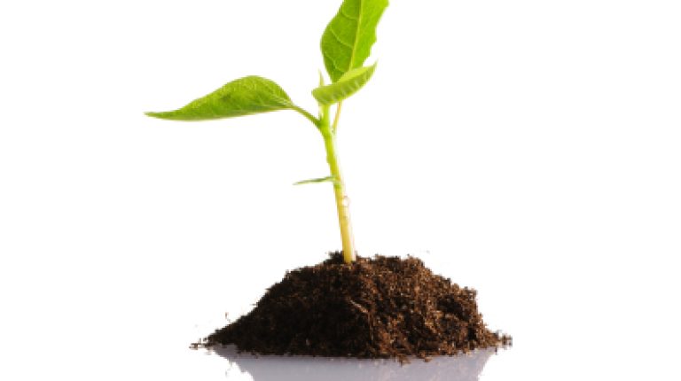 Exposing biotech industry misinformation about GM and conventional plant breeding_669bd01475b41.jpeg