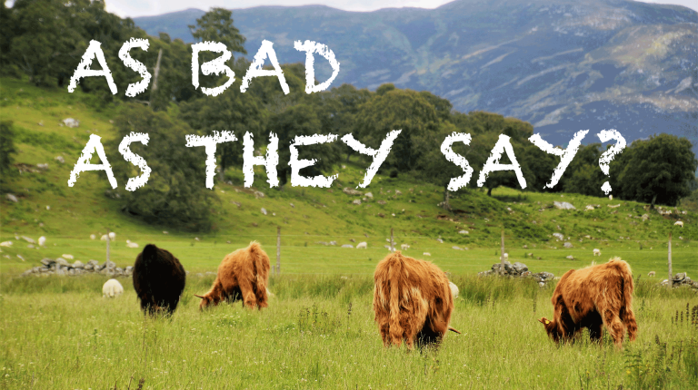 Feature: The red meat witch-hunt exposed_669b5ecb71e59.png