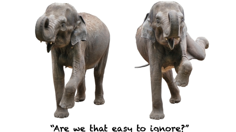Feature: The two elephants they want us to ignore_669b6912edf88.png