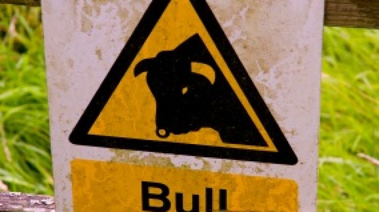 German authorities class Red Bull cola as narcotic_669bdbdd3fa5d.jpeg