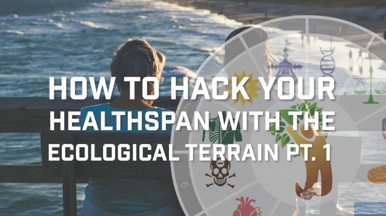 Hacking your Healthspan Part 1_669b92964364b.jpeg