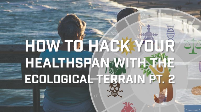 Hacking Your Healthspan Part 2_669b92847097c.jpeg