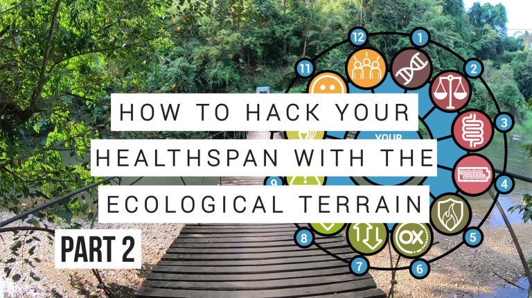 Hacking your lifespan via your Ecological Terrain – Part 2_669b5e4d2f3a7.jpeg