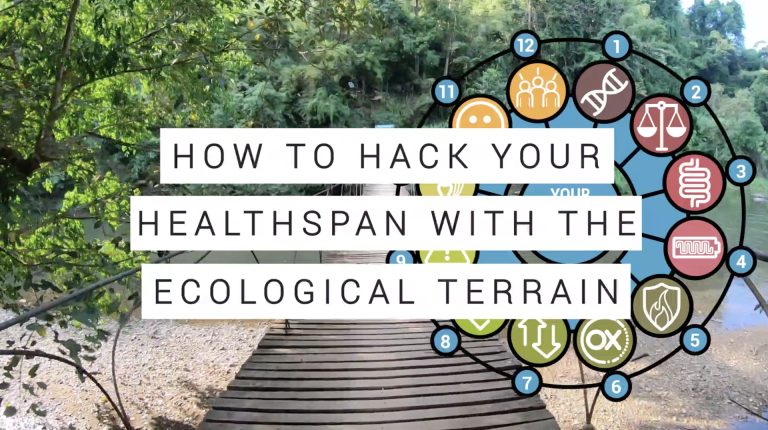 Hacking your lifespan via your Ecological Terrain_669b5e6c58ef6.jpeg