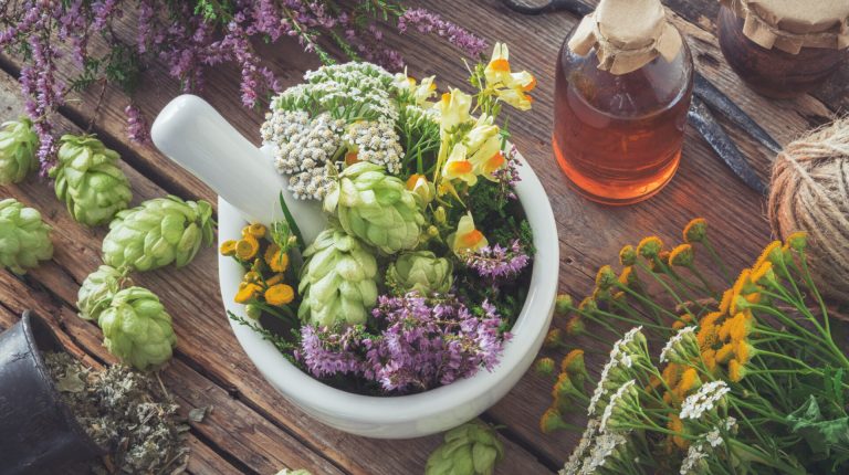Herbs v brain inflammation – how can you help yourself?_669b6ffd44c67.jpeg