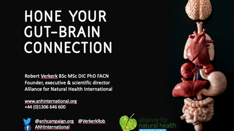 Hone your gut-brain connection_669a55414104a.png