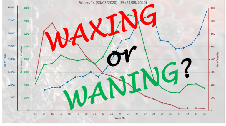 Is there a waning pandemic behind the ‘casedemic’_669b6f8db0d09.png