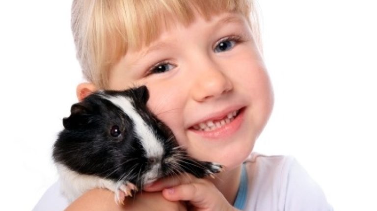 Kids: the new guinea pigs of Big Pharma_669bde8ea48c4.jpeg