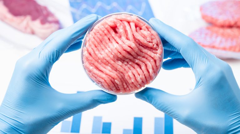 Lab-grown meat versus agro-ecological farming_669b92f88b914.jpeg