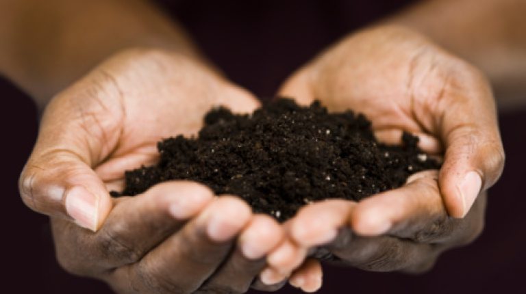 Living soils: the vital link to natural health_669bbecad2431.jpeg