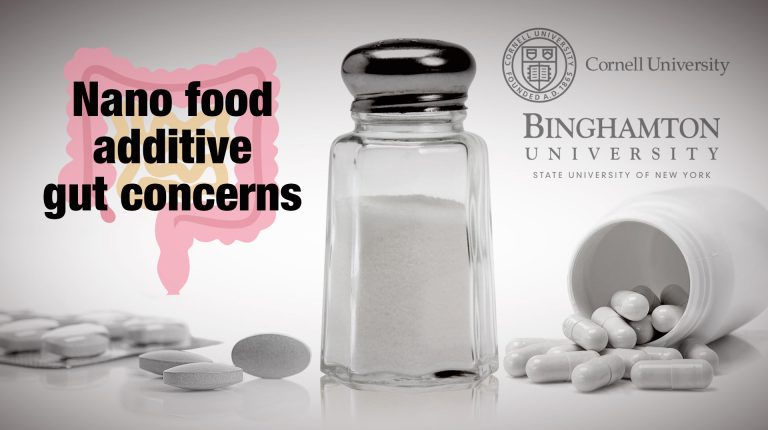 Nano-sized food additives may be harming your gut_669a94e1de92e.jpeg