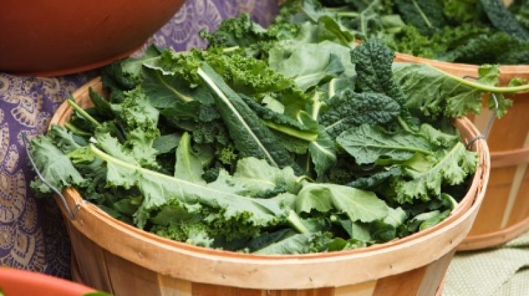 Nature’s folates work best for lowering colorectal cancer risk_669bdb57b841e.jpeg